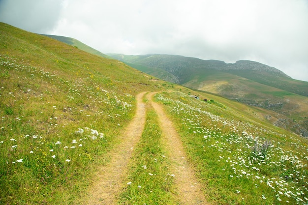 Ground road in nature Armenia Summer