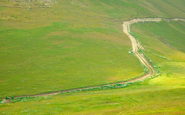 Ground road in nature Armenia Summer