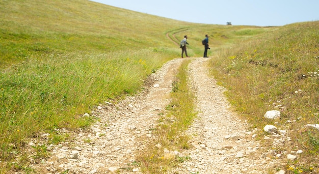 Ground road in nature Armenia Summer