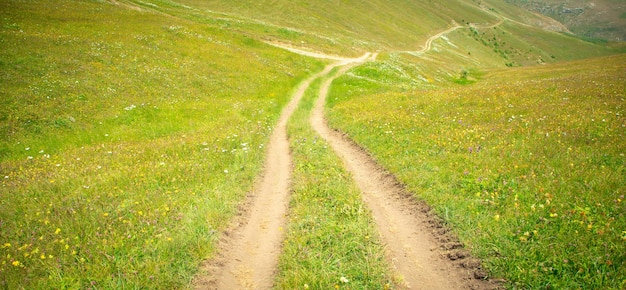 Ground road in nature Armenia Summer