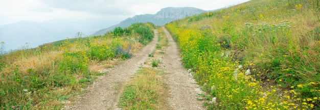 Ground road in nature Armenia Summer