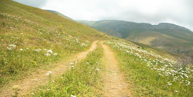 Ground road in nature Armenia Summer