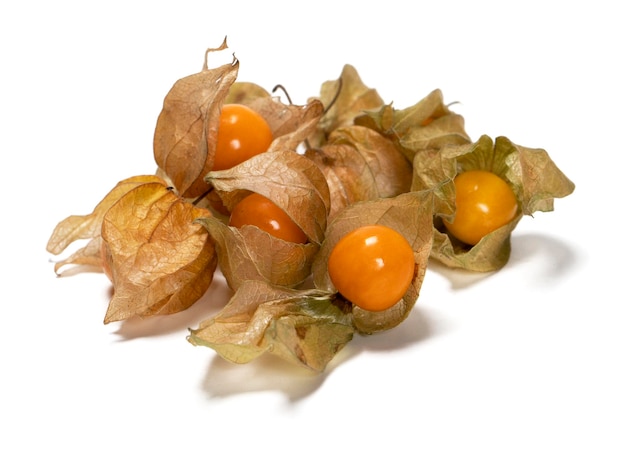 Groundcherry isolated on white background