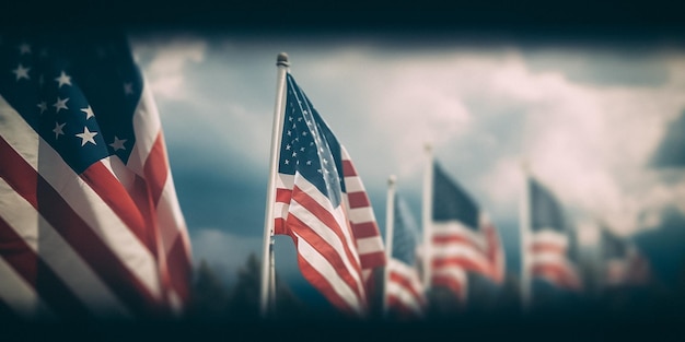 A group of american flags are in a field with a cloudy sky in the background.