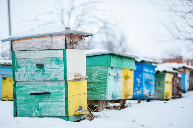 Group beehives in the winter garden with snow covering