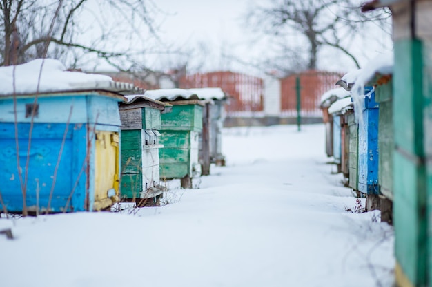 Group beehives in the winter garden with snow covering