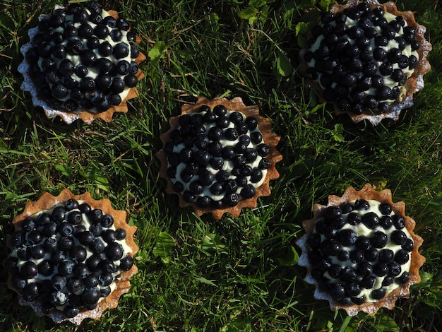 A group of blackberries sit on the grass in front of a green field.