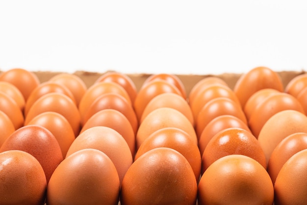 Group of brown eggs isolated on white. Copy space.