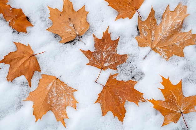 A group of brown maple leaves are scattered on a bed of freshly fallen snow The leaves are frozen and covered in a layer of frost