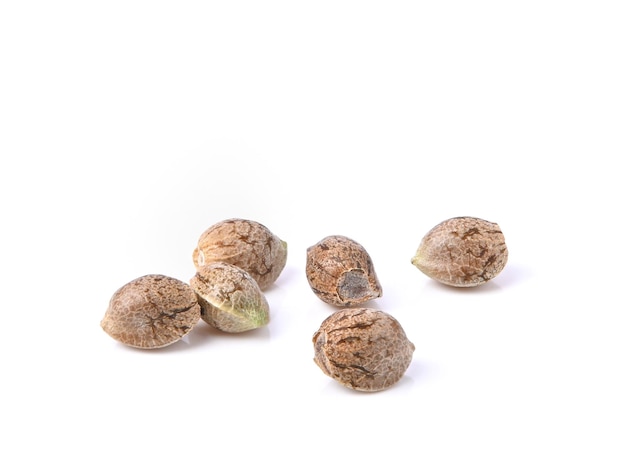 Group of Cannabis seeds on the white platform