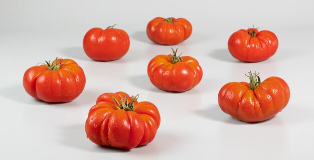 A group of Costoluto big tomatoes on a grey background