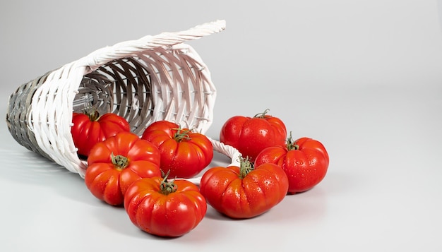 A group of Costoluto big tomatoes on a white background space for text