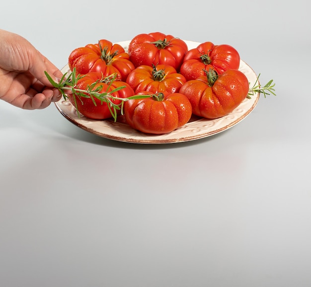 A group of Costoluto big tomatoes with rosemary on a white background space for textx9