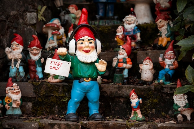 Group of different funny garden gnomes