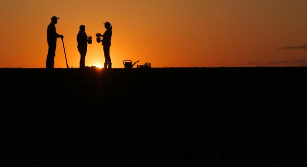 Photo a group of farmers are preparing to plant seedlings in a field standing at sunset