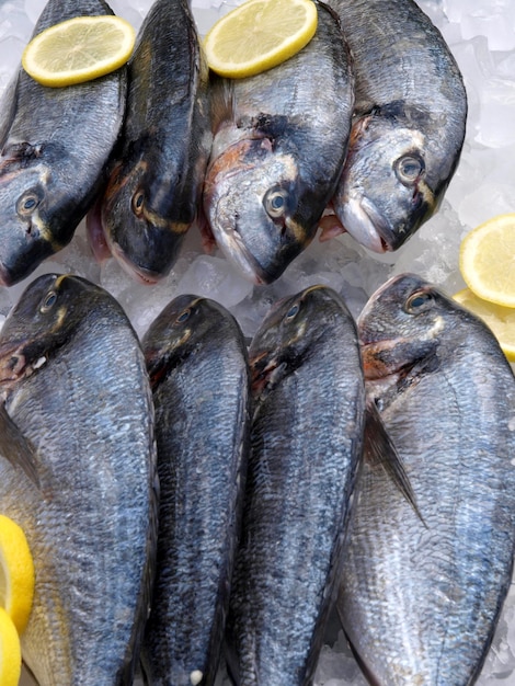 A group of fish are on display with lemons on the side.