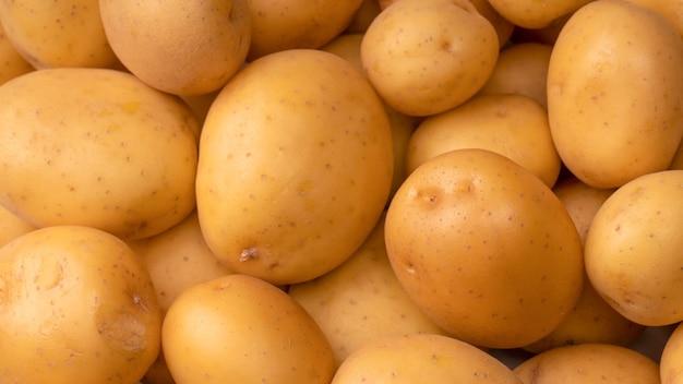 A group of fresh tasty potato as background