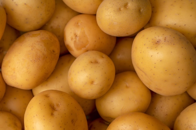 A group of fresh tasty potato as background