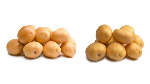 A group of fresh tasty potato isolated on white background