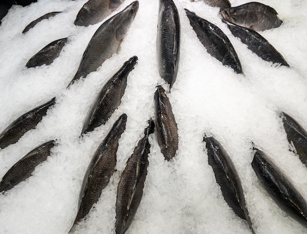 Group of the fresh tilapia fish are displayed on the crushed ice