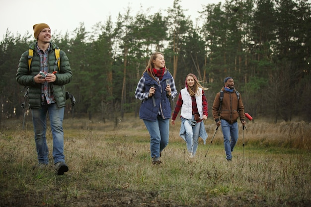 Group of friends on camping or hiking trip in autumn day