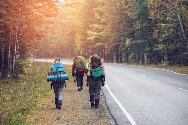 Group of friends walking with backpacks by the forest road