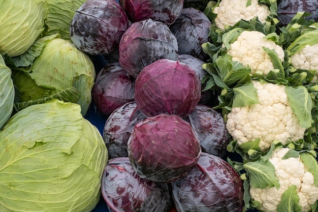 Group of green cabbages in a supermarket Cabbage background