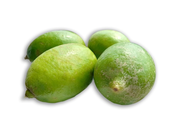 A group of green mangoes are on a white background.