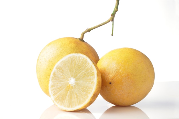 A group of lemon isolated on white background