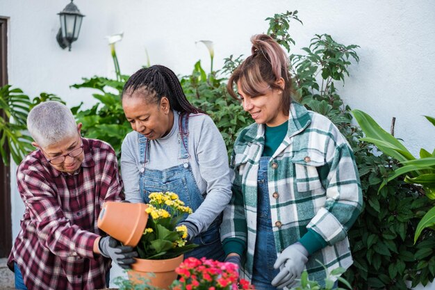 Group of middleaged female friends doing gardening together and sharing their hobby together Concept Gardening lifestyle hobby