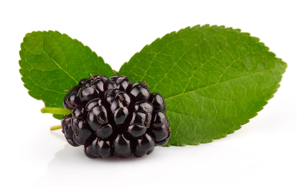 Group of mulberries with green leaves isolated