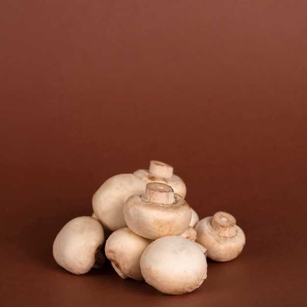 Group of mushrooms on brown background