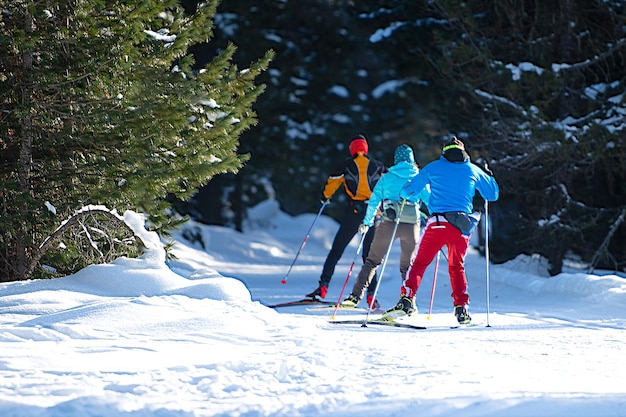 Group of Nordic crosscountry skiers