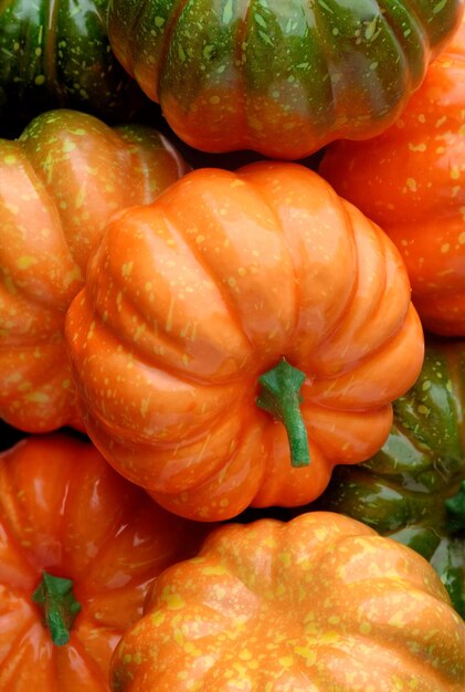 Group of orange and green pumpkins