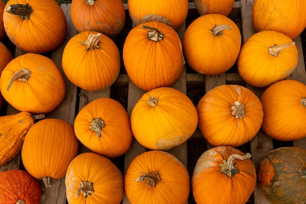 A group of orange pumpkins are stacked on top of each other.