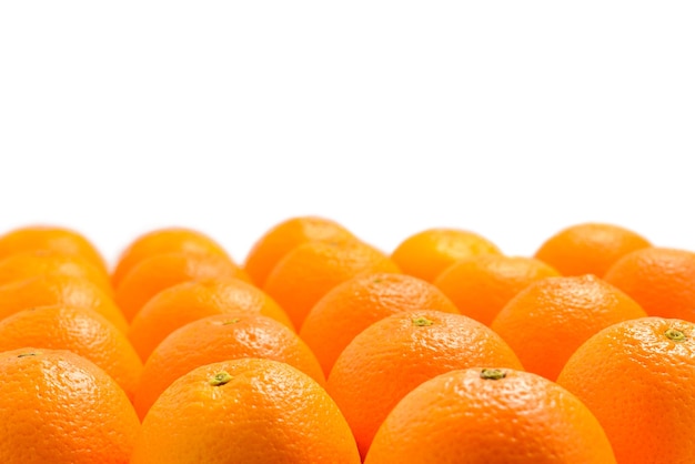 Group of oranges in a row isolated on white background Space for text or design