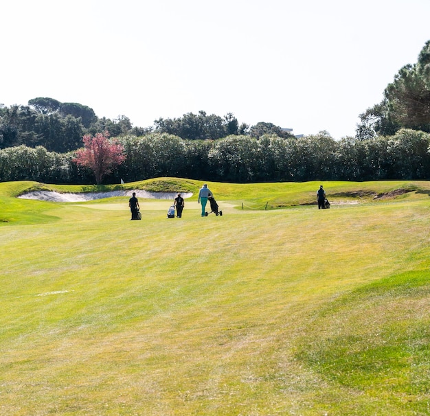 Group of people carrying golf bag trolleys on a golf course