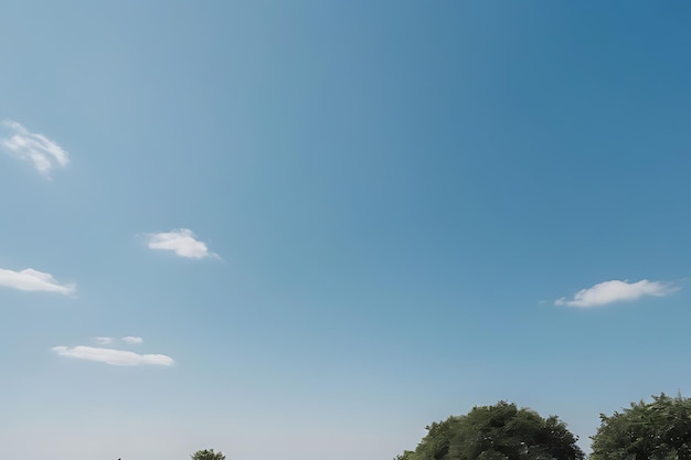 Group of People Flying Kite on Field