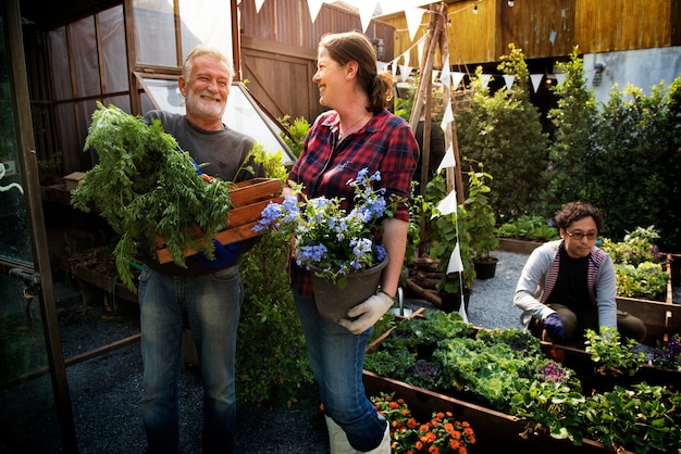 Group of people planting vegetable in greenhouse