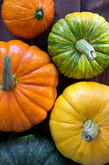 Group Of Pumpkins