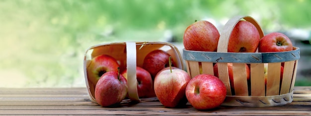 Group of red apples in little basket on a wooden table in garden on green background