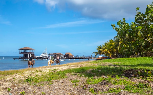 A group riding on the Sandy Bay beach on Roatan Island