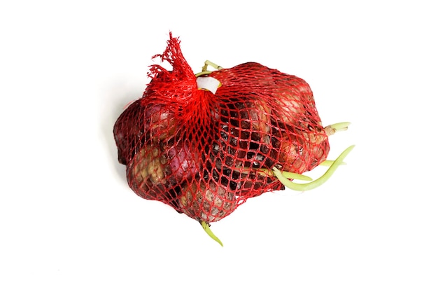 Group of Shallots in red mesh bag are rotten and moldy isolated on white background sprouts growing from rotten shallots