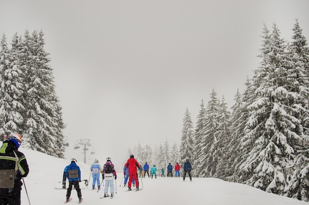 A group of skiers go down the ski slopes in the snowy mountains active winter sport activities