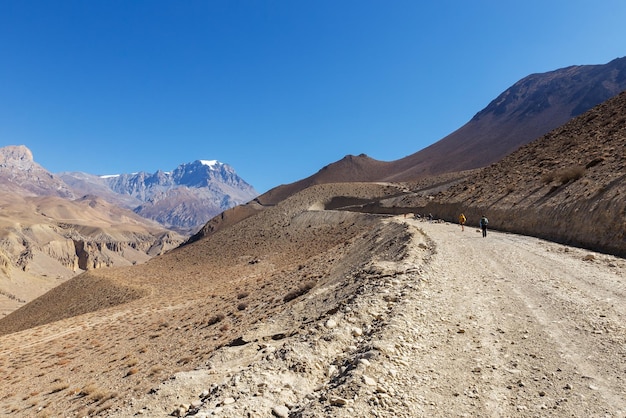 group of tourists with trekking poles walking along the road to Muktinath Mount Yakwakang