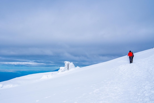 Group of trekkers hiking among snows and rocks of Kilimanjaro mountain