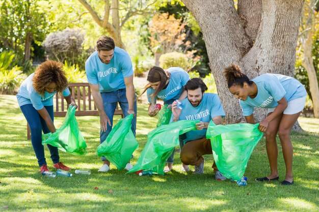 Group of volunteer collecting rubbish