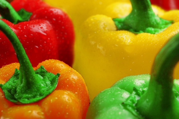 Group of wet colorful peppers closeup