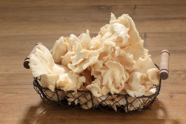 A Group of White Oyster Mushroom on Wicker Basket on Brown Wooden Table Ready to Cook in the Kitchen