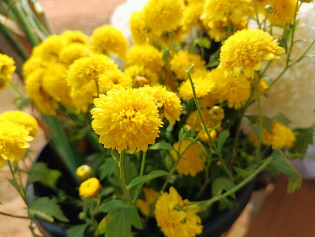 A Group Of Yellow Flowers